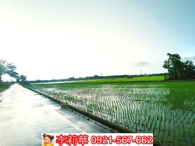 六甲農地-5