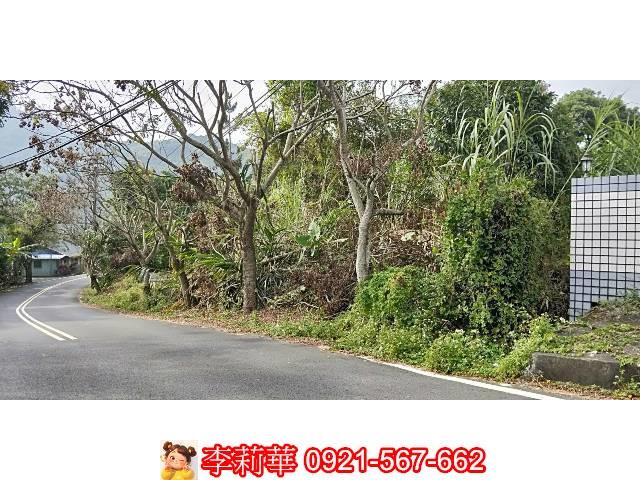 台南白河建地-4