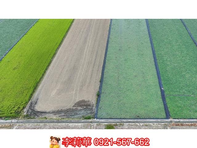 台南麻豆農地-0
