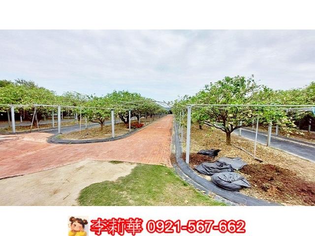 台南農地-3
