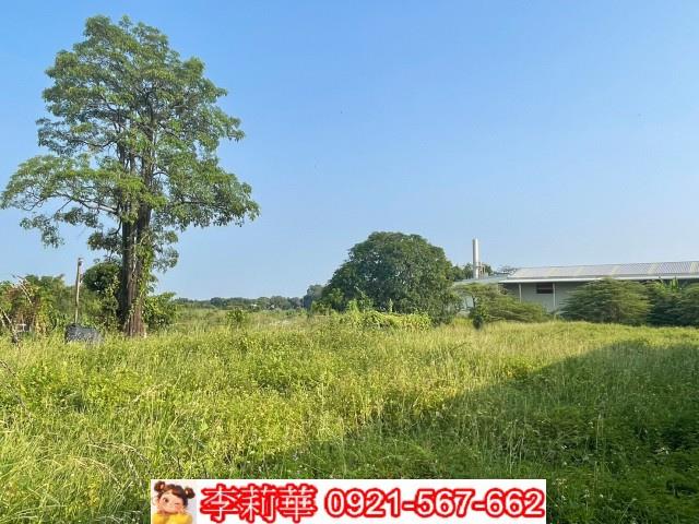 台南農地-9