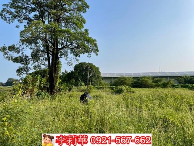 台南農地-3