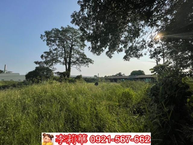 台南農地-5