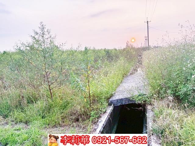 白河農地-9
