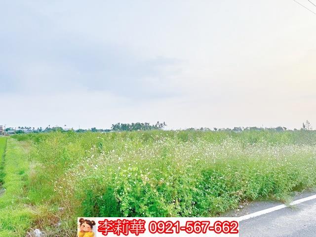白河農地-6