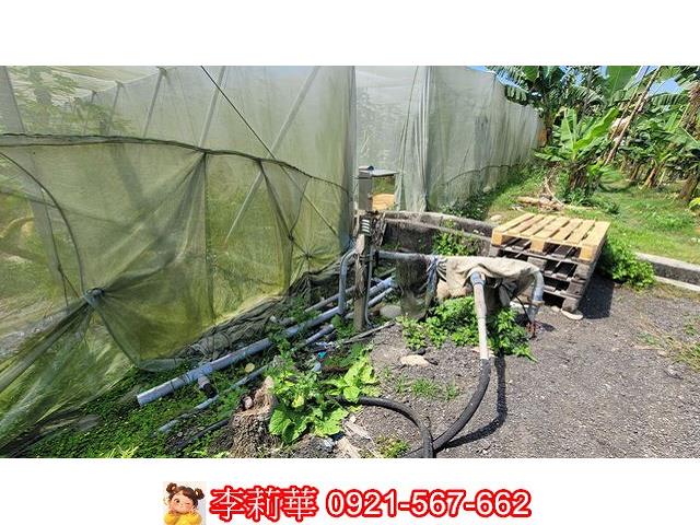 旗山農地-9