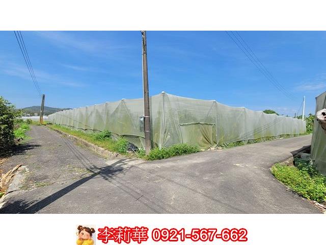 旗山農地-3