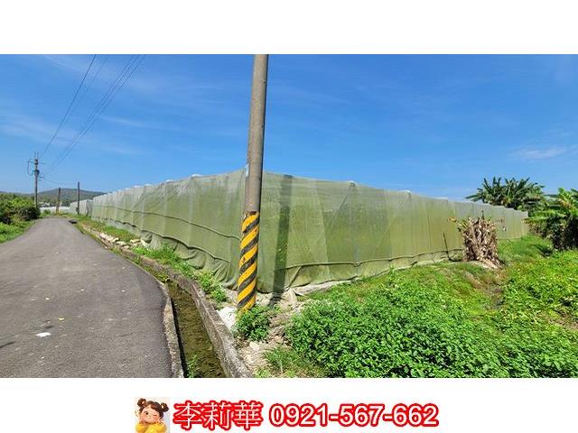 旗山農地-4