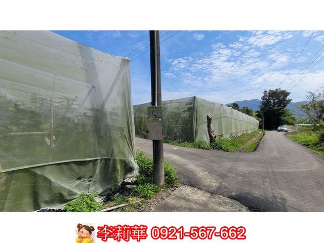 旗山農地-5