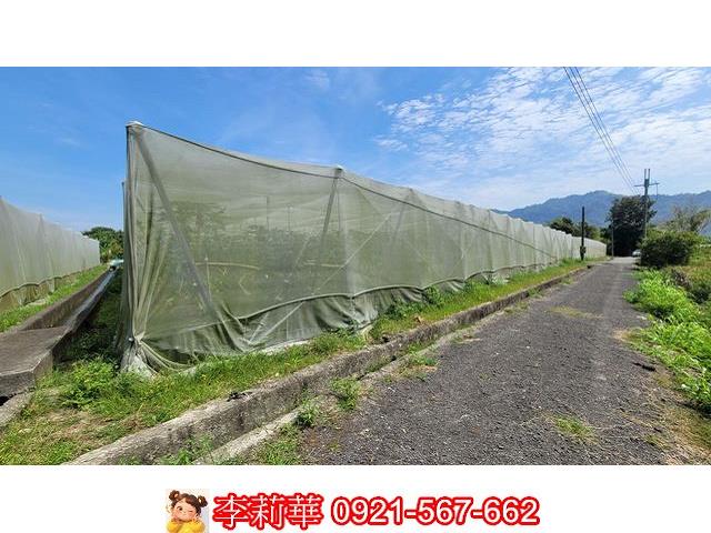 旗山農地-6