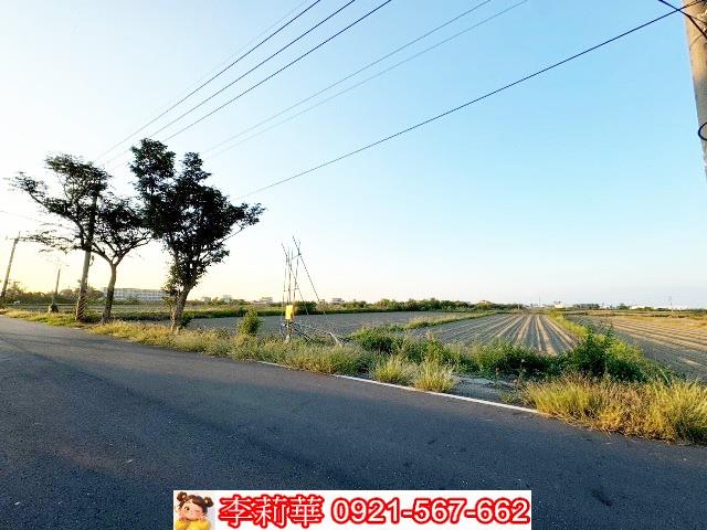 將軍農地-2