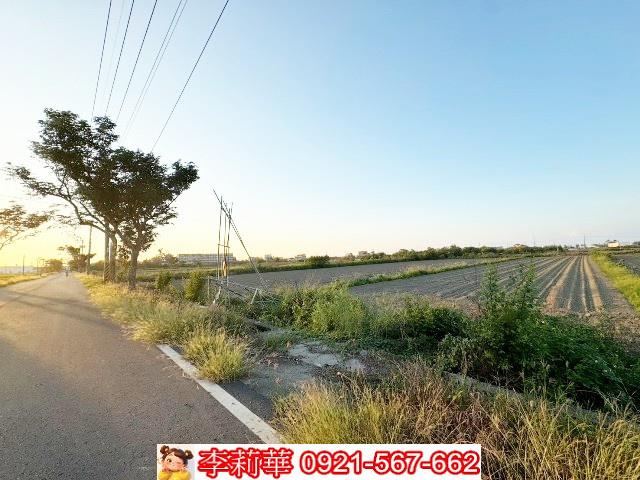 將軍農地-3