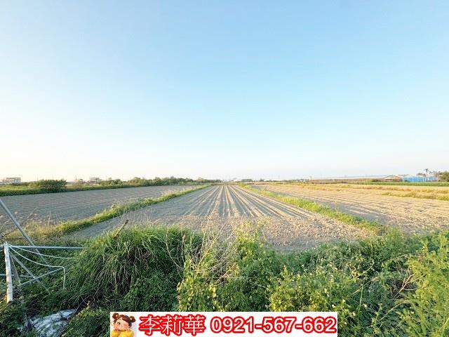 將軍農地-5