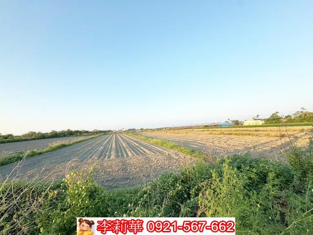 將軍農地-6