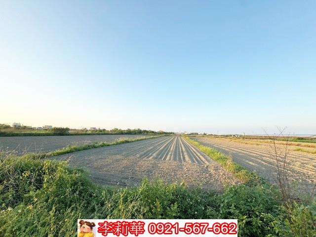 將軍農地-7
