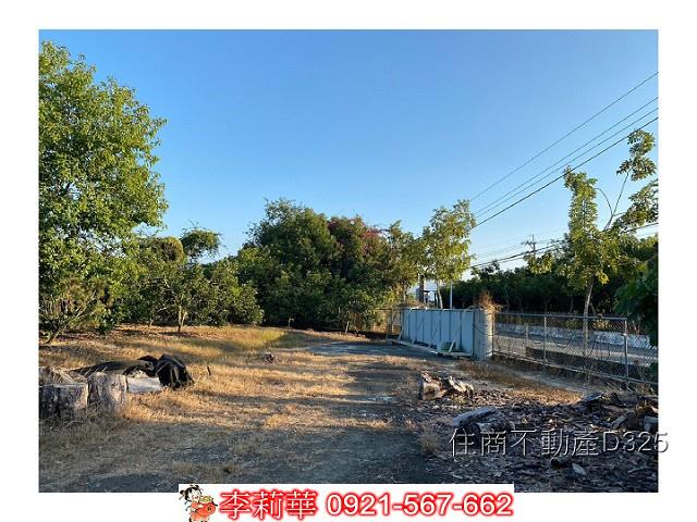 玉井農地-9