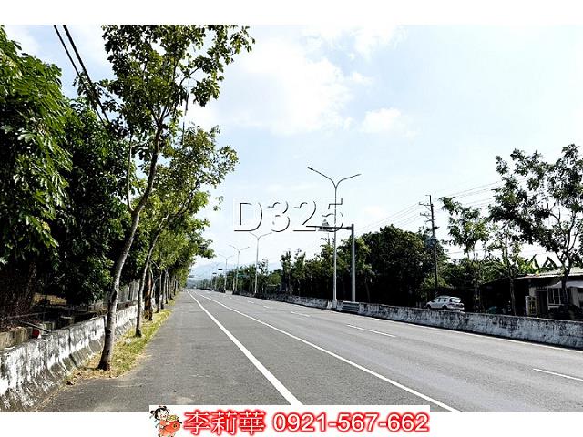 玉井農地-3