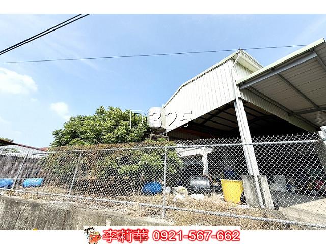 玉井農地-4