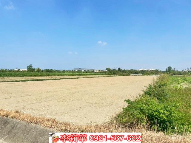 佳里農地-9