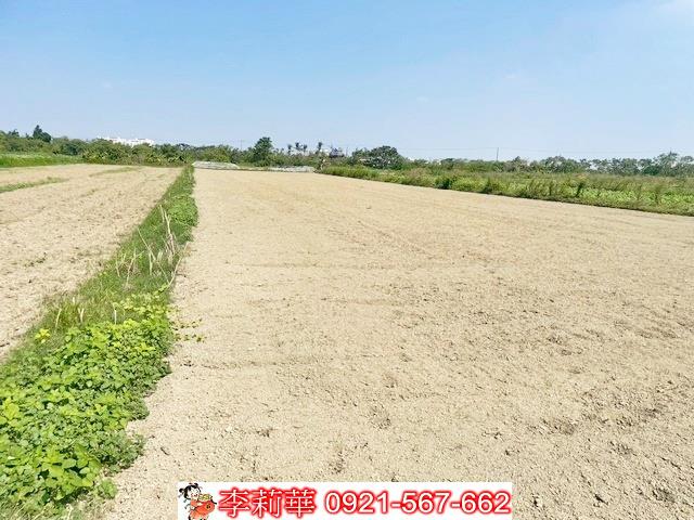佳里農地-11