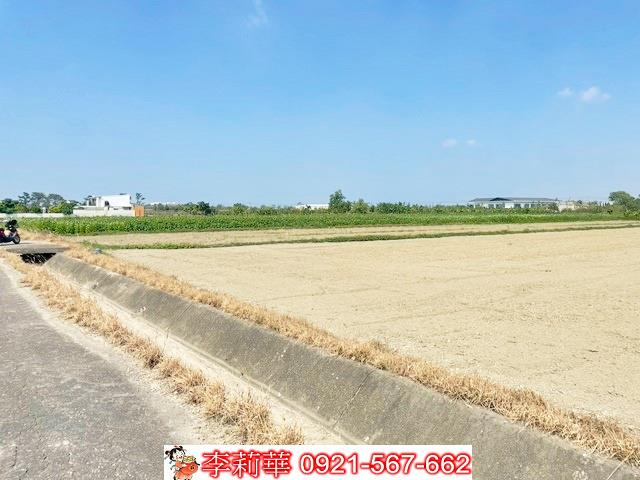 佳里農地-4