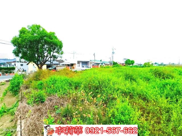 西港農地-5