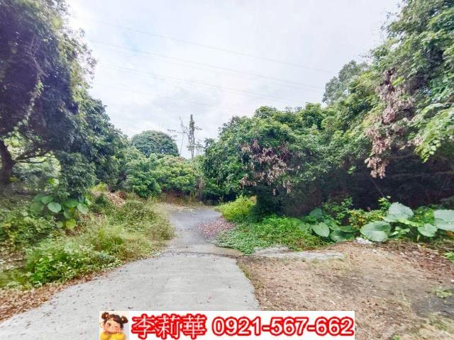 台南楠西農地-2