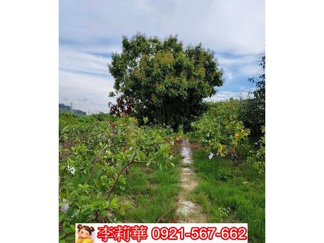 高雄岡山農地-8