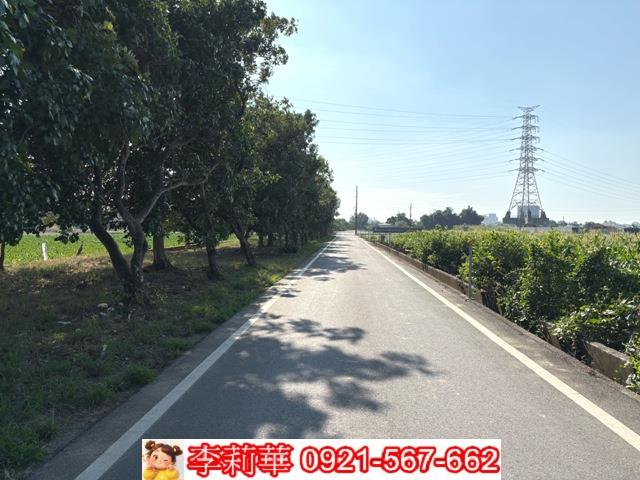 台南新化農地-5