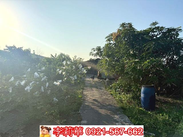 台南安定農地-8