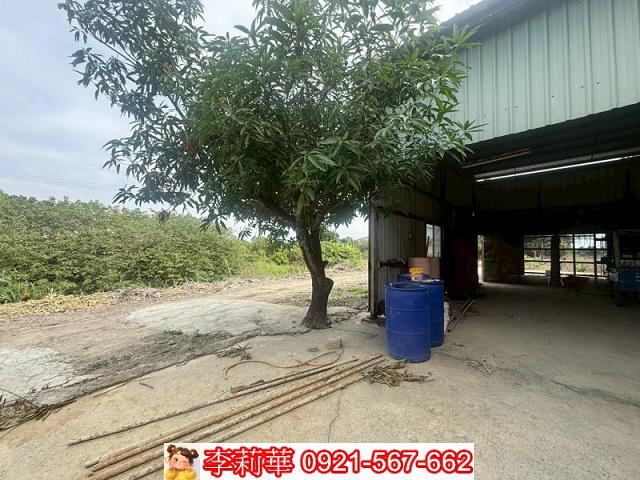 高雄路竹農地-3