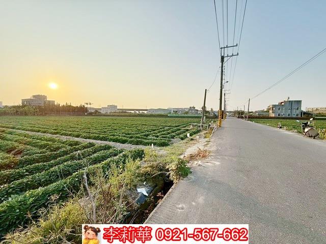 新化農地-2