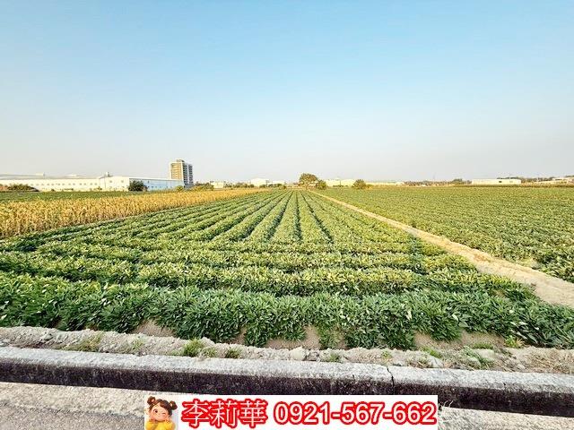 新化農地-3