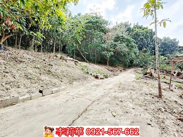 台南關廟農地-7