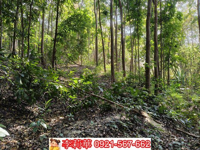 台南龍崎農地-9