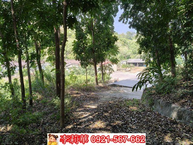 台南龍崎農地-4