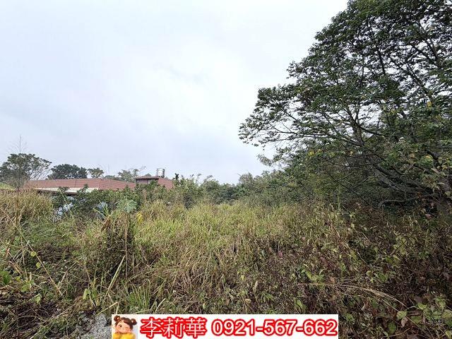 台南東山農地-6