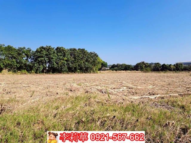 台南農地-10