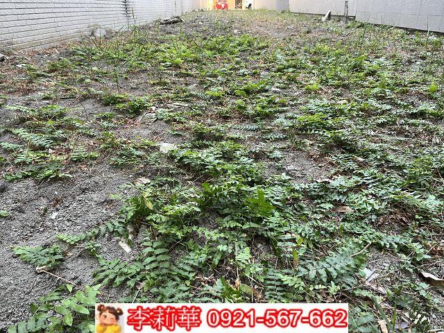 台南建地-5