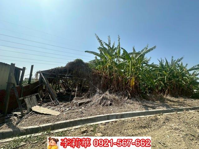 柳營建地-3