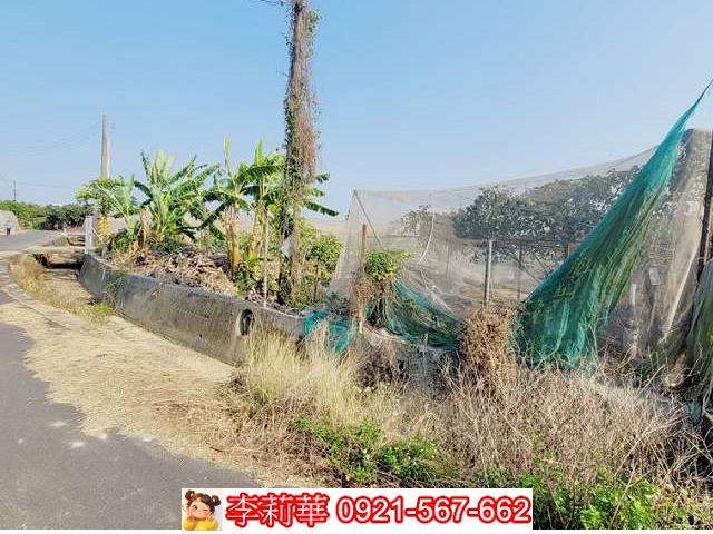 高雄燕巢農地-5