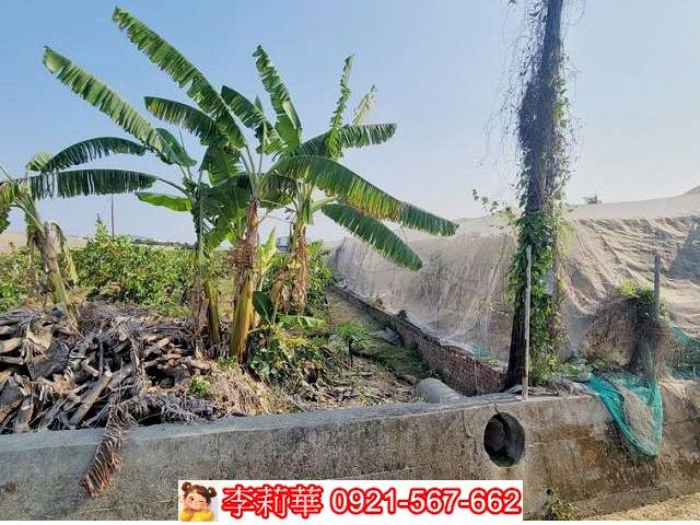 高雄燕巢農地-6