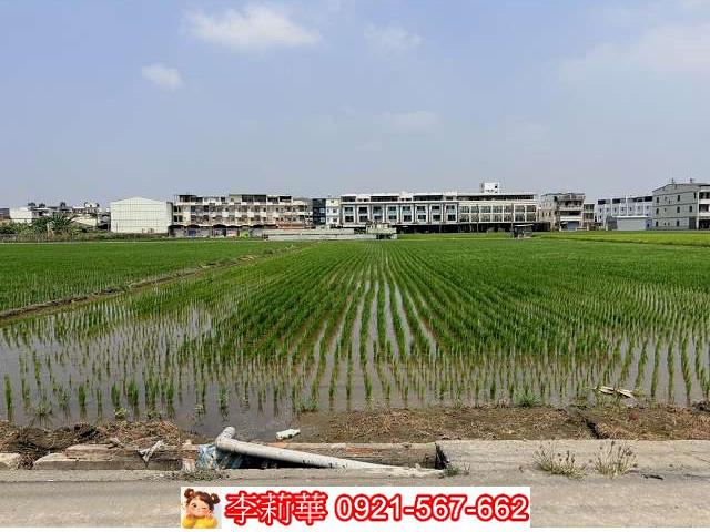 高雄林園農地-3