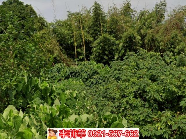 台南下營建地-6