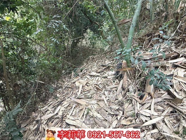 台南新化農地-10