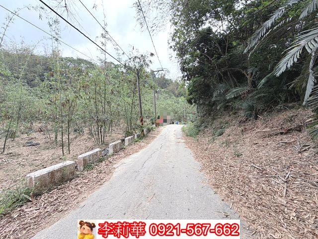 台南新化農地-1