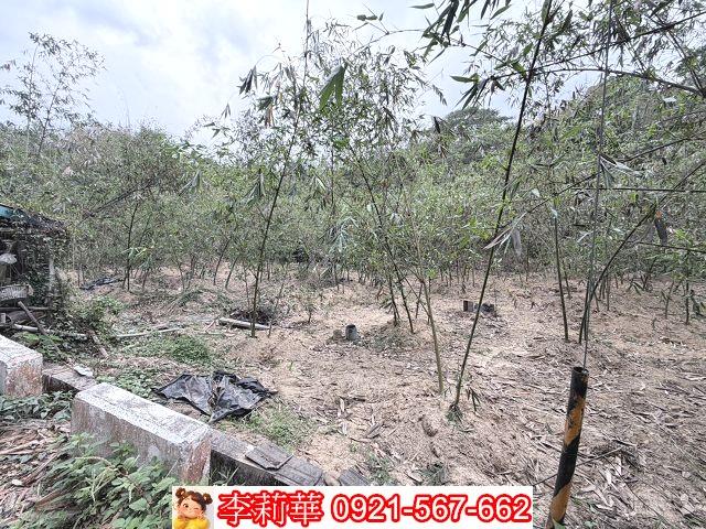 台南新化農地-7