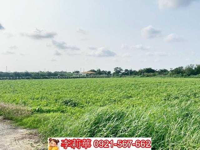 台南佳里農地-5