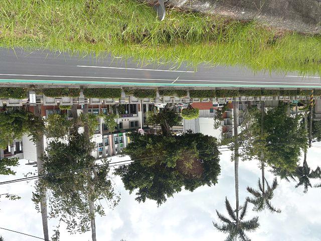 台南善化建地-1