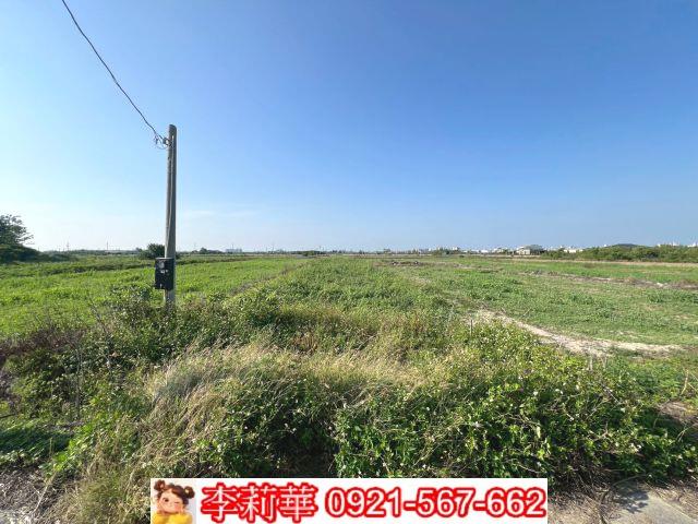 台南佳里農地-9